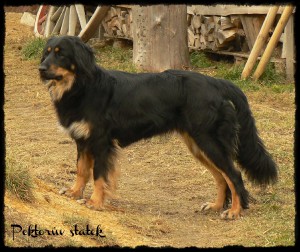 bonnie-corraki-moravia--9-.jpg